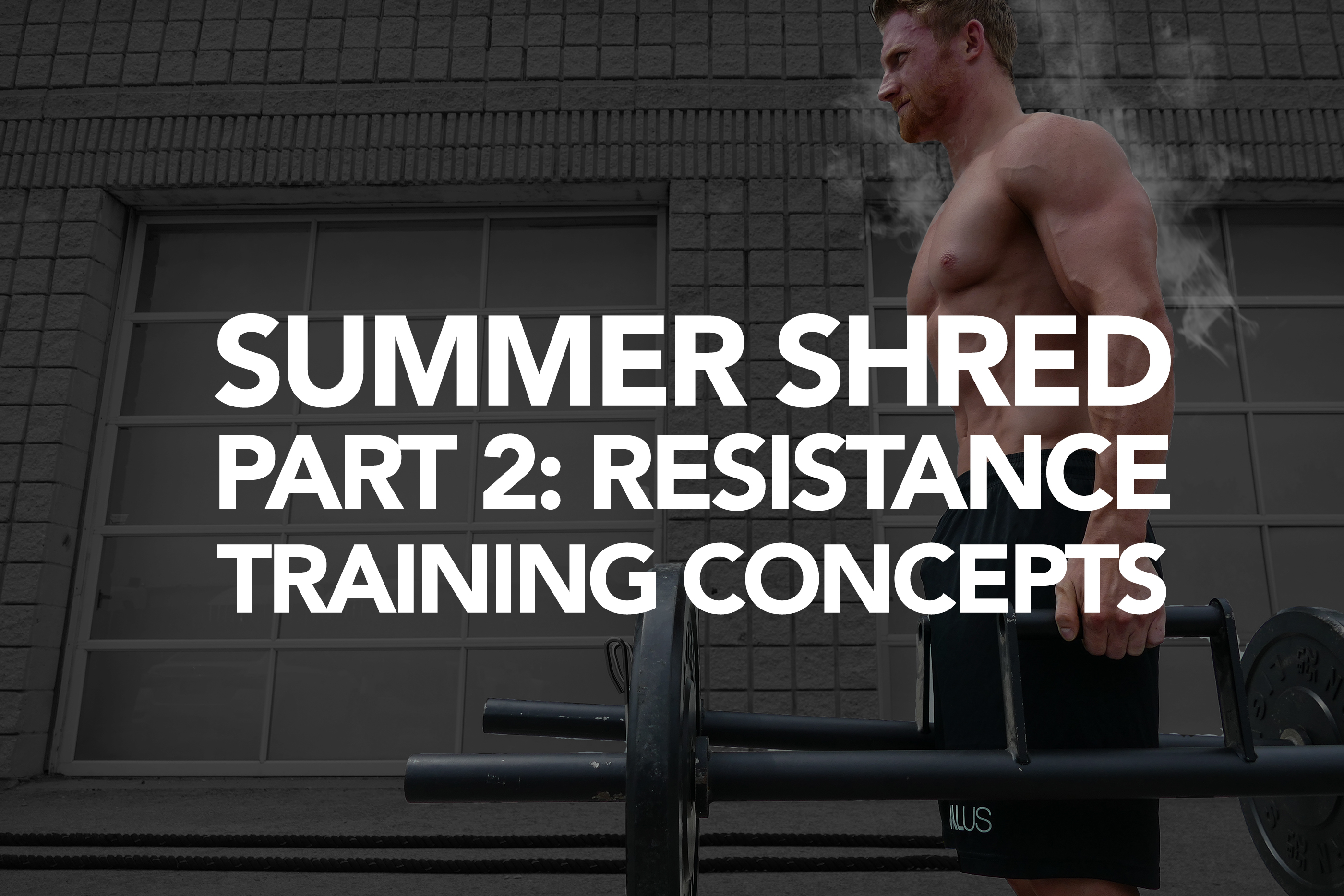 Summer Shredding Part 2: Resistance Training Concepts